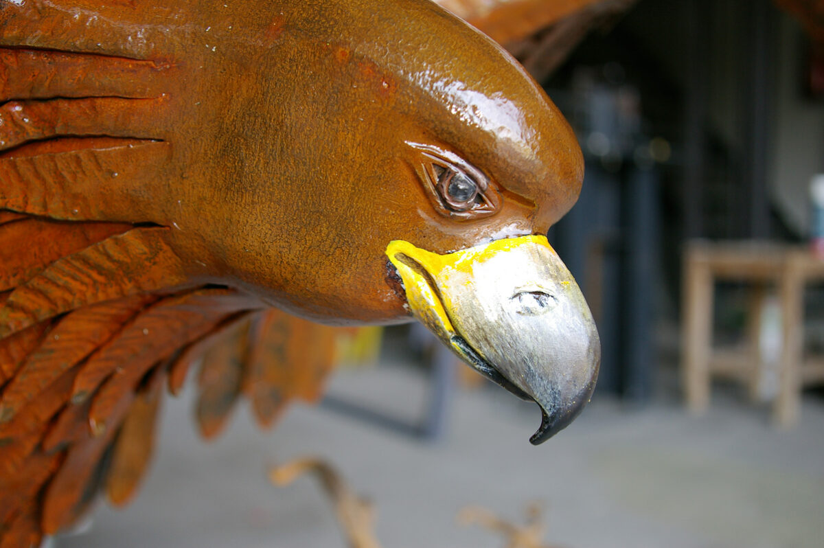 Der König der Lüfte 2010